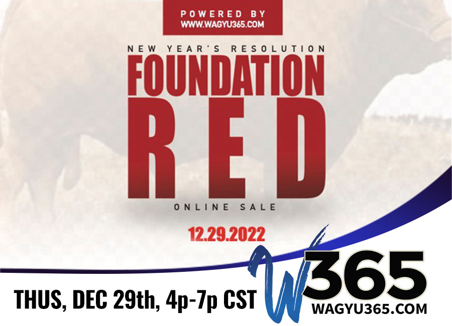 New Year's Resolution Foundation All Red Online Sale