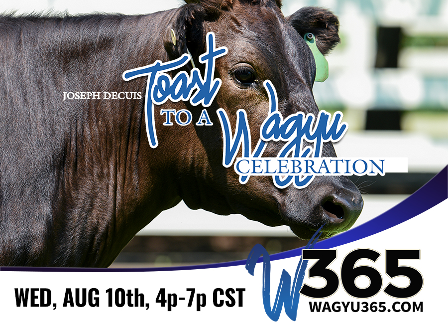 Joseph Decuis 'Toast to a Wagyu Celeration' Online Sale II