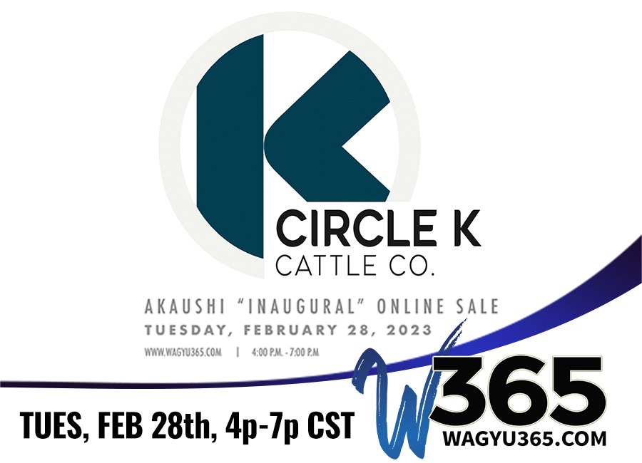 Circle K Cattle Co Inaugural Akaushi Online Sale