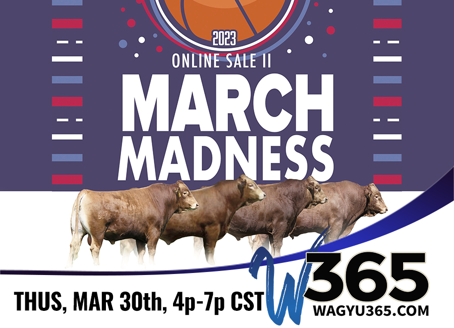 March Mardness Akaushi Online Sale