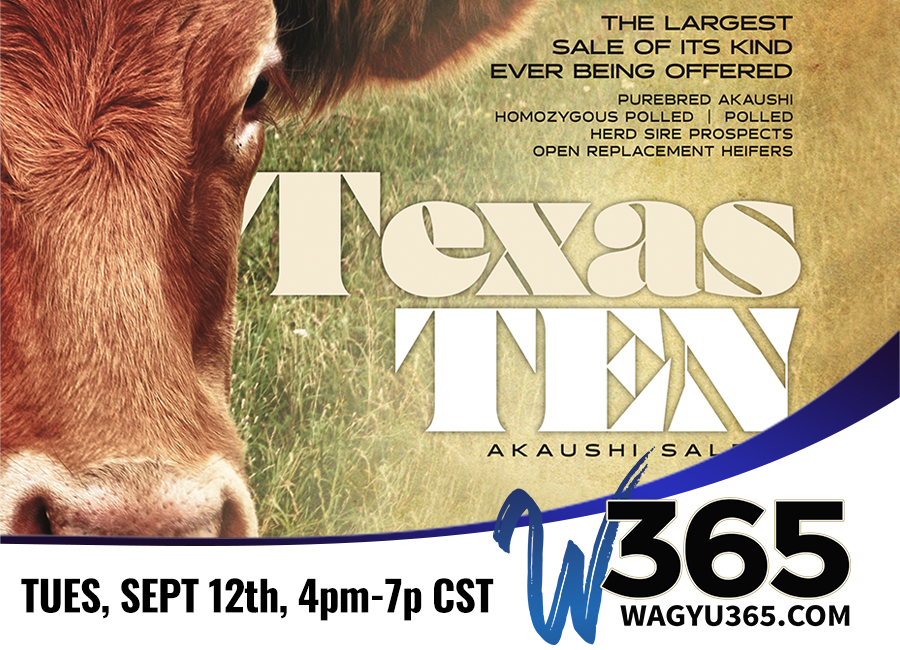 Texas Ten Akaushi: Breed's Largest Polled Sale Ever