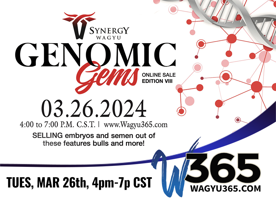 Synergy Wagyu Genomic Gems Online Sale, Edition VIII