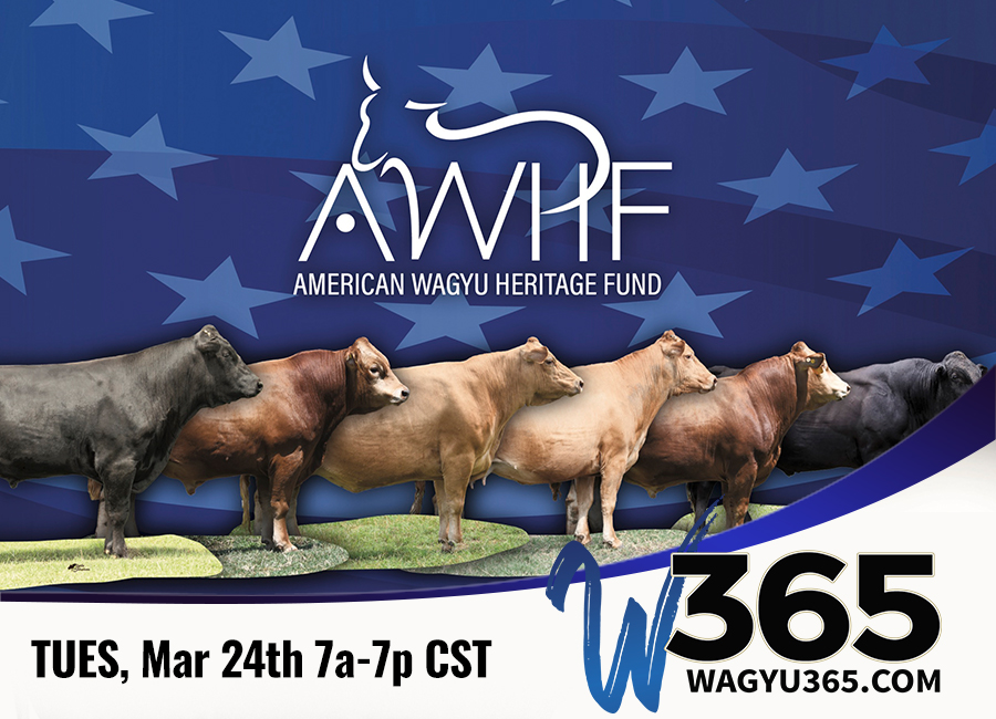 American Wagyu Heritage Fund - Frozen Genetics Benefit Auction