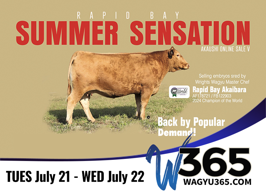 Rapid Bay Summer Sensations Online Sale V