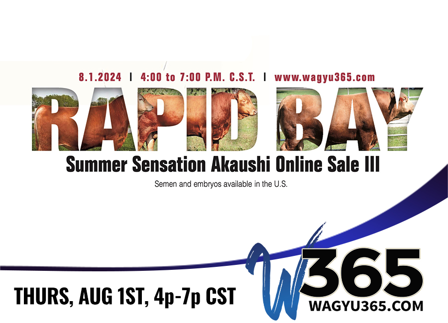 Rapid Bay Summer Sensation Akaushi Online Sale III