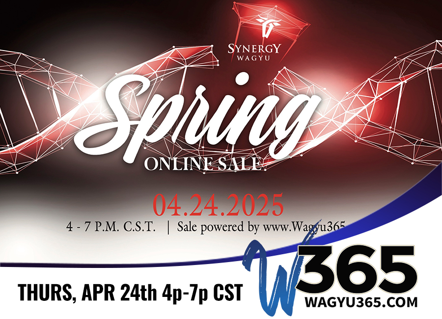 Synergy Wagyu Spring Online Sale