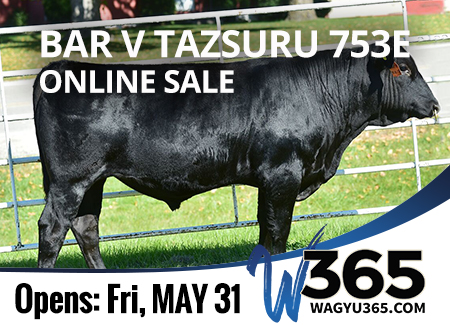 Bar V Tazsuru 753E Online Sale - 5/31/19 to 6/15/19