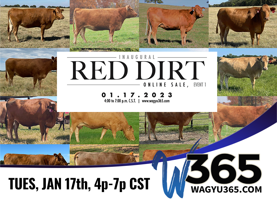 Cherokee Akaushi Inaugural Red Dirt Online Sale, Event I