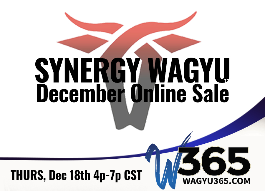 Synergy Wagyu December Online Sale
