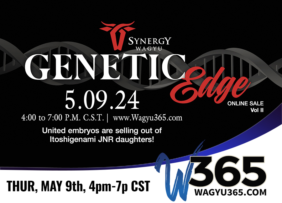 Synergy Wagyu Genomic Edge Online Sale Volume II