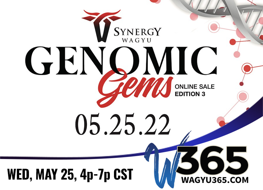 Synergy Wagyu Genomic Gems Online Sale Edition III