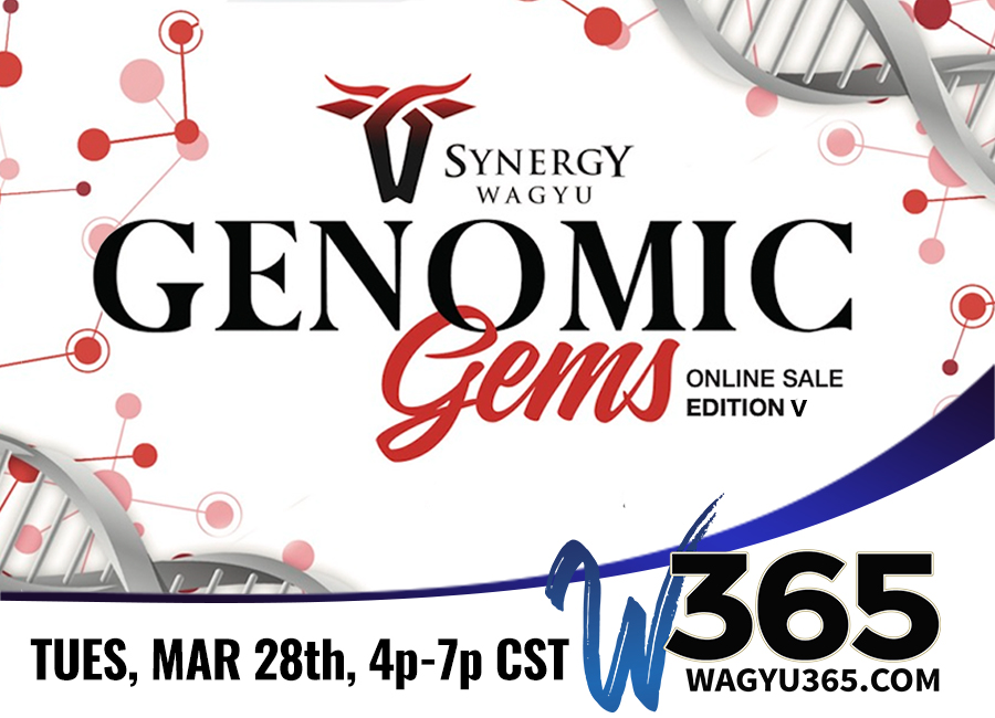 Synergy Wagyu Genomic Gems Online Sale Edition V