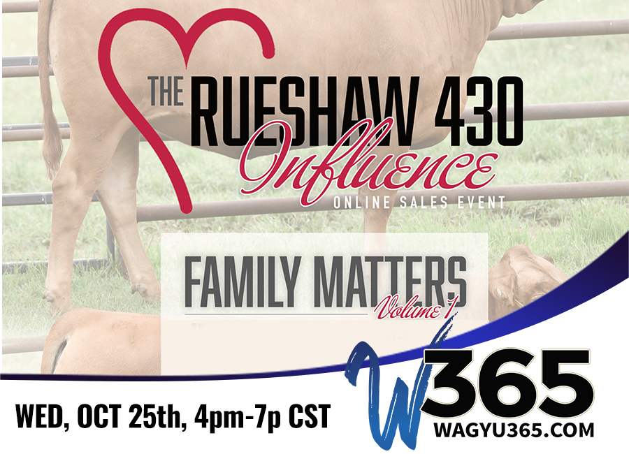 Heartbrand Cattle Family Matters Volume I: The Rueshaw Influence Online Sale Event