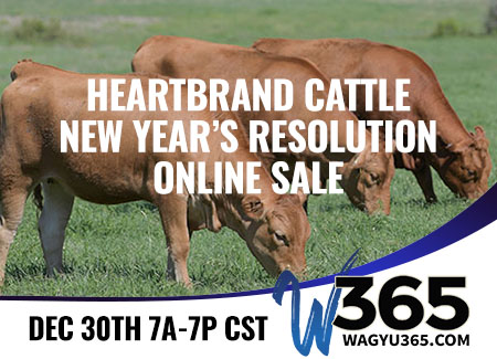 Heartbrand Cattle New Year's Resolution Online Sale