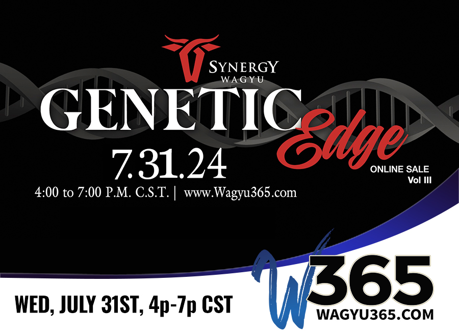 Synergy Wagyu Genetic Edge Online Sale Vol III