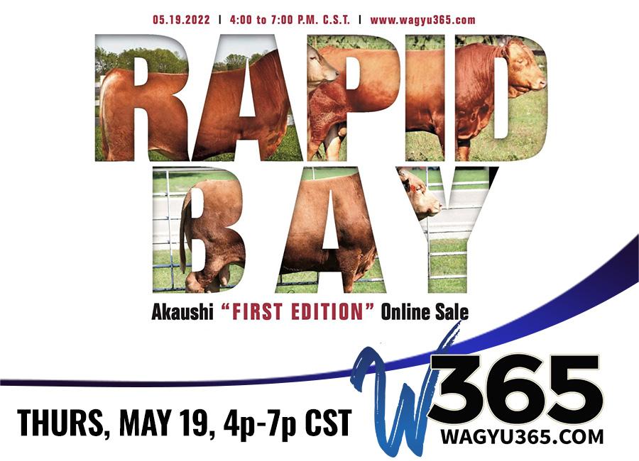 Rapid Bay Akaushi 'First Edition' Online Sale