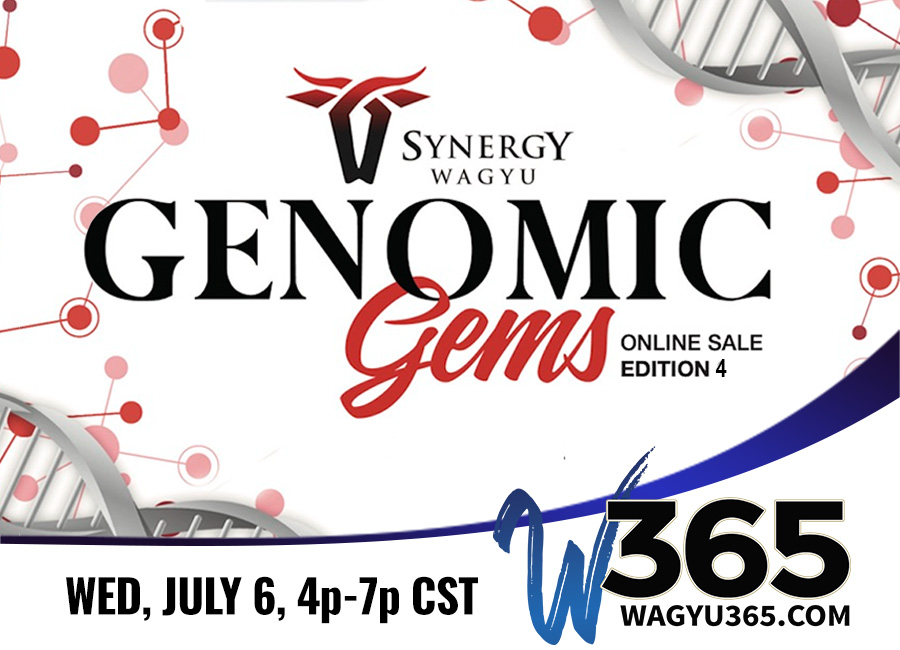 Synergy Wagyu Genomic Gems Online Edition IV