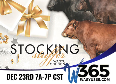 Stocking Stuffer Wagyu Online Sale