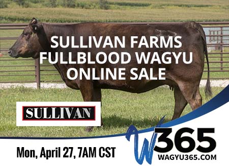 Sullivan Farms Fullblood Wagyu Online Sale - 4/27/20