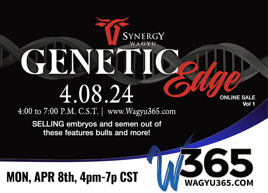 Synergy Wagyu Genetic Edge Online Sale Vol 1