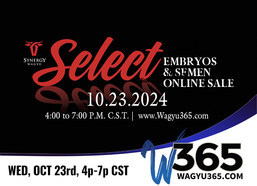 Synergy Select Embryo & Semen Online Sale