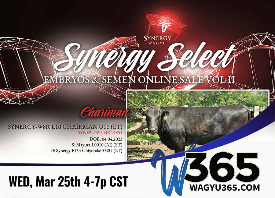 Synergy Select: Embryos & Semen Online Sale, Vol II