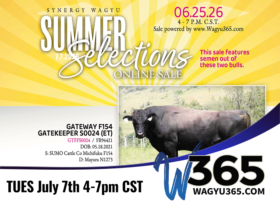 Synergy Wagyu Summer Selections Online Sale 