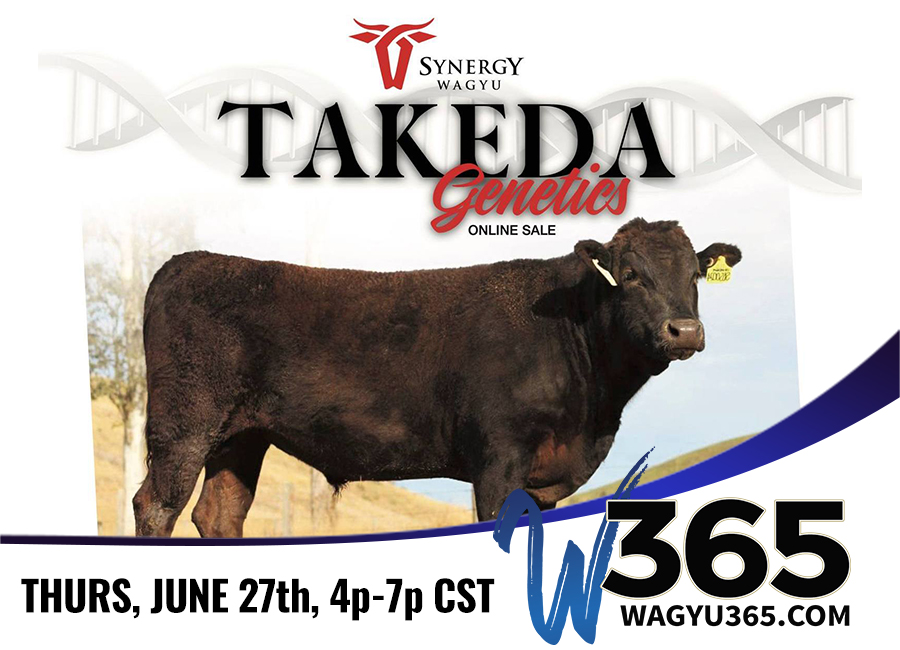 Synergy Wagyu Takeda Genetics Online Sale