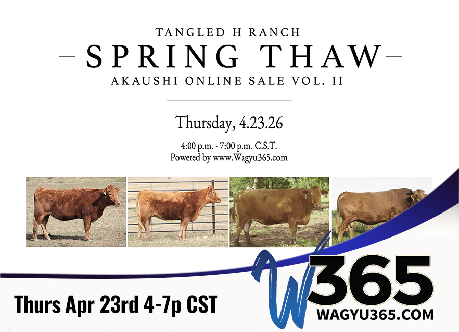Tangled H Ranch Spring Thaw Online Sale Vol II