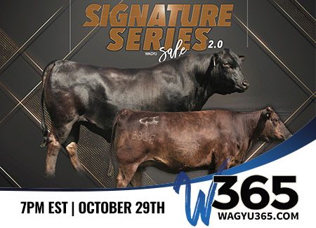 Signature Series Wagyu Sale 2.0